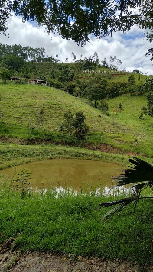 Pousada Campestre Estancia Sao Domingos Serra Negra  Buitenkant foto